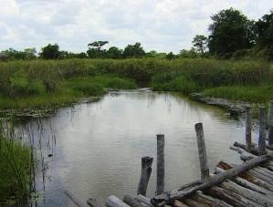 Third Bridge Moremi Botswana 